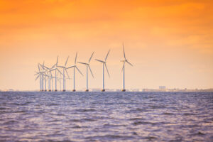Trägerverfahren FFH-Verträglichkeitsprüfung Offshore Windpark